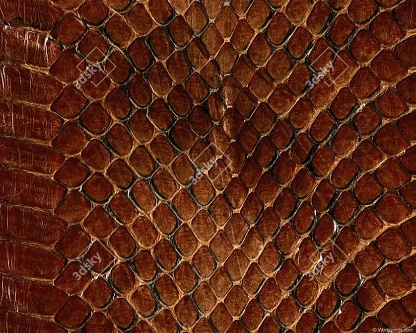 Reptile-Textured Leather Skin 3D model image 1