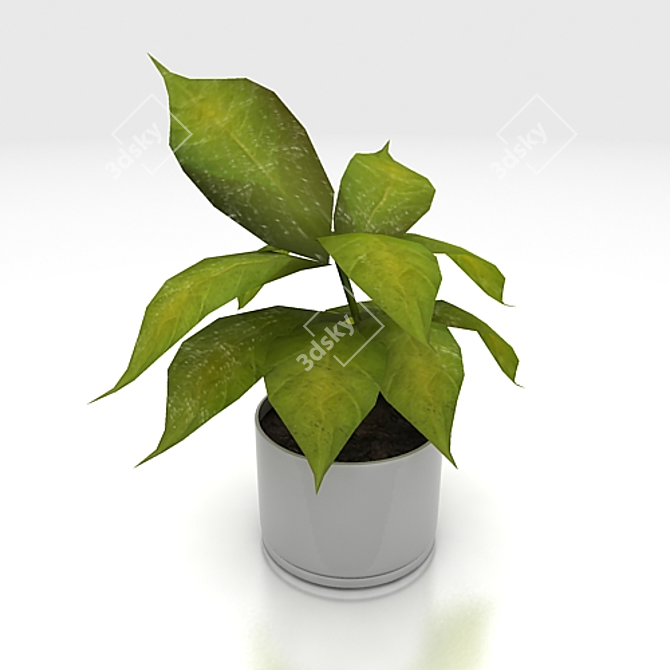 Textured Indoor Pet Plant 3D model image 1