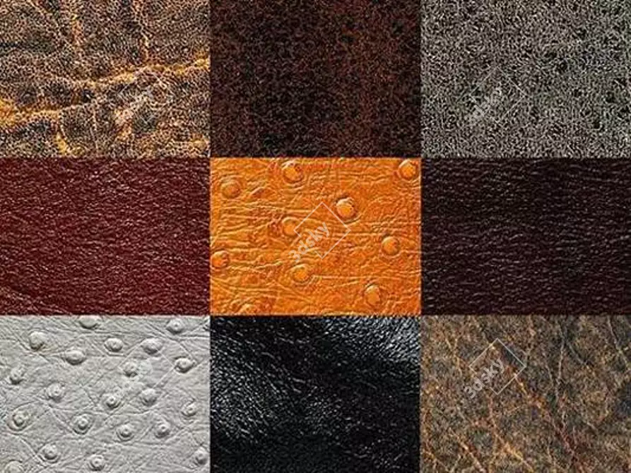  Archive of 10 Leather Textures 3D model image 1