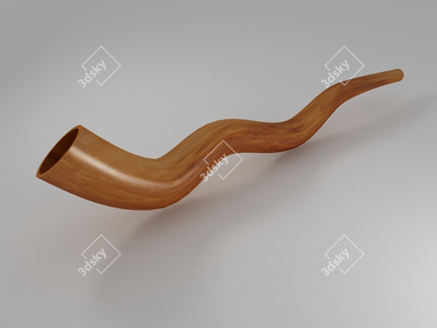 Authentic Australian Musical Instrument 3D model image 1