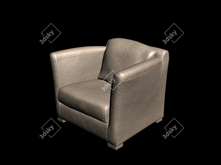 Luxury Leather Armchair: Moscow Factory "Luali 3D model image 1