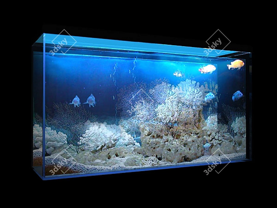  Coral Reef Aquarium 3D model image 1