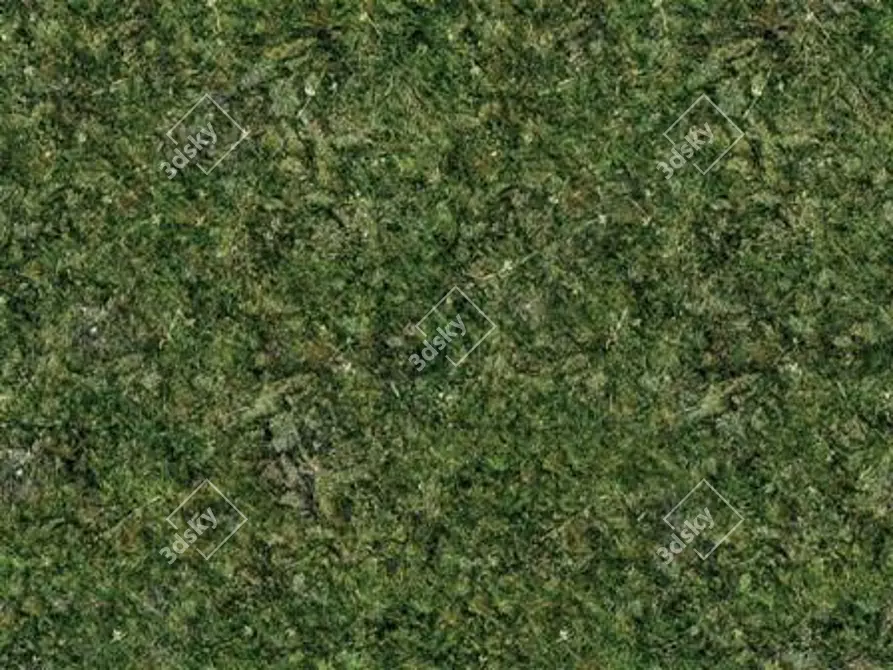 Seamless Ground HD4 3D model image 1