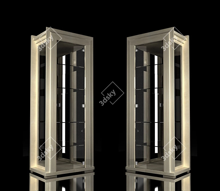 Elegant Glass Showcase 3D model image 1