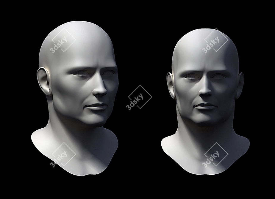 Versatile Male Head Model 3D model image 1