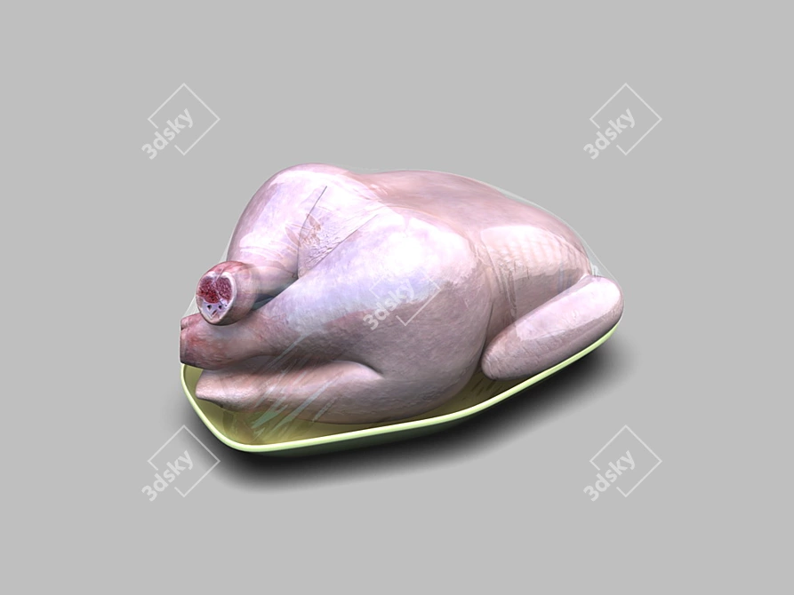 Succulent chicken in packaging 3D model image 1