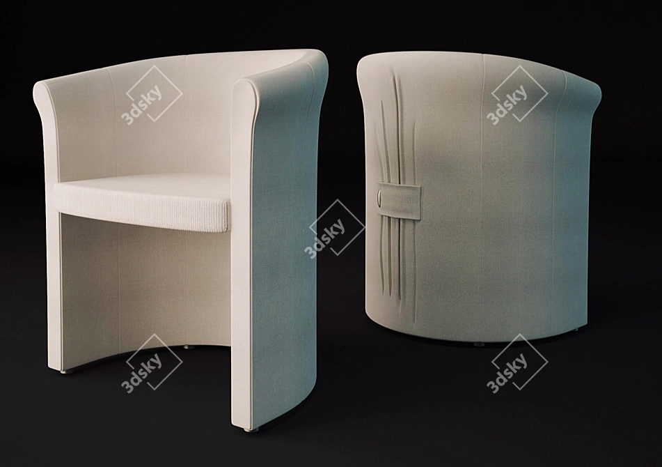 Luxury Brio Armchair: Exquisite craftsmanship for ultimate comfort 3D model image 1