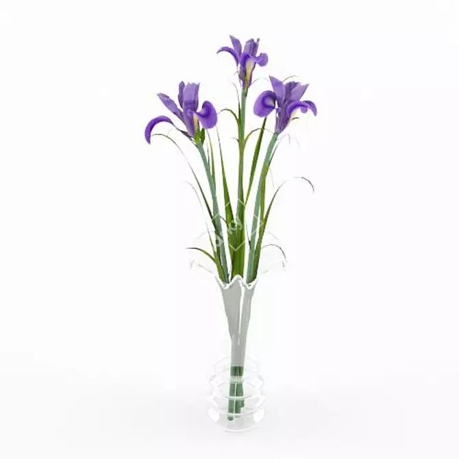 Elegant Iris Vase 3D model image 1