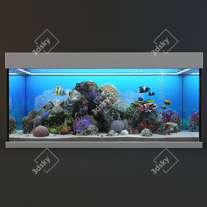 Ocean Bliss Glass Aquarium 3D model image 1