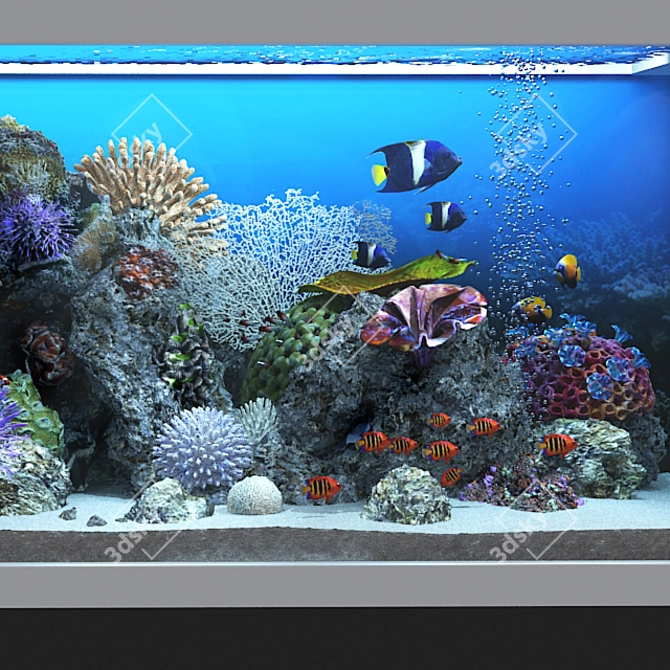 Ocean Bliss Glass Aquarium 3D model image 11