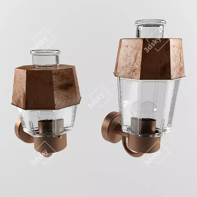 Copper Outdoor Wall Sconce | BOOM 3D model image 1