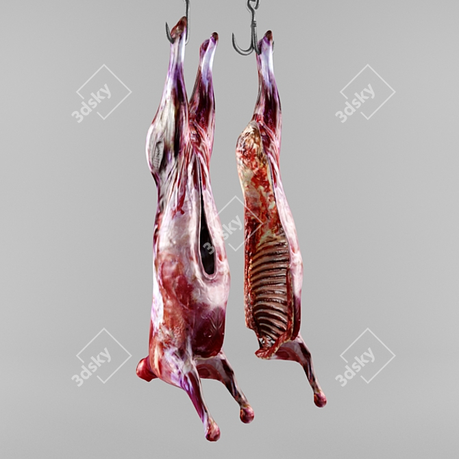 Animal Carcass: Textured & Unwrapped 3D model image 1