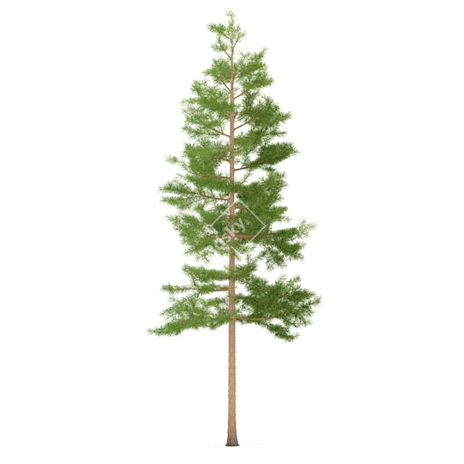 3m Pine Tree Sculpture 3D model image 1