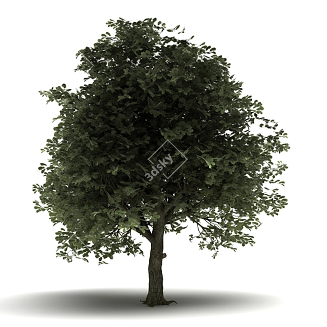 Mini Maternity Tree 3D model image 1