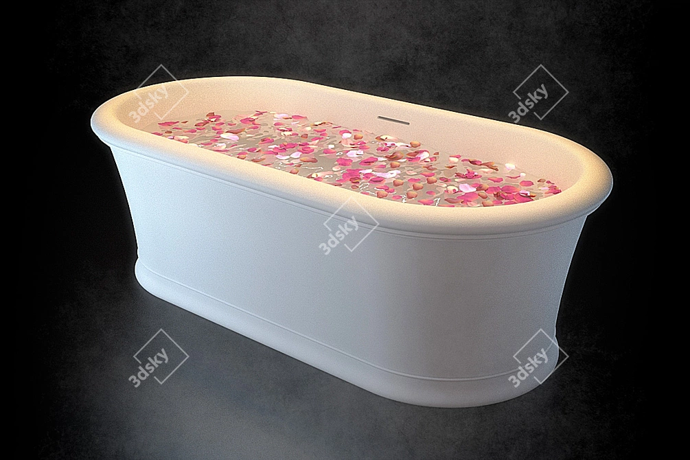 Elegant CELINE Bathtub by Devon&Devon 3D model image 1