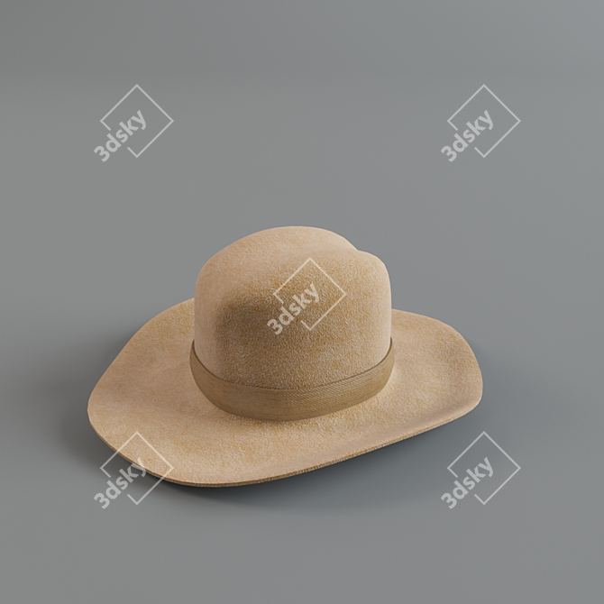 Vintage Hat Collection 3D model image 1