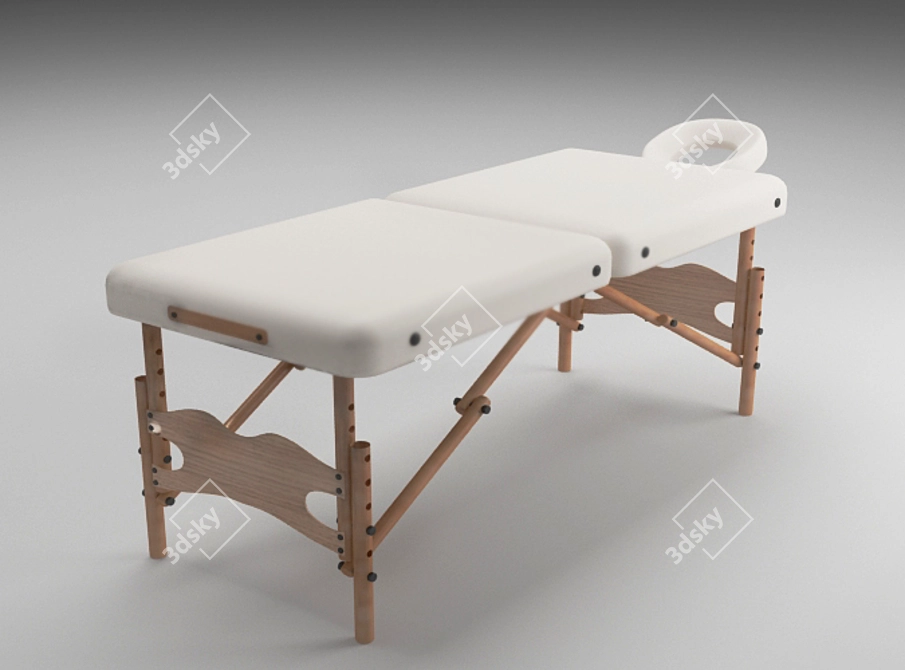 Luxury Massage Table SH-3729 3D model image 1