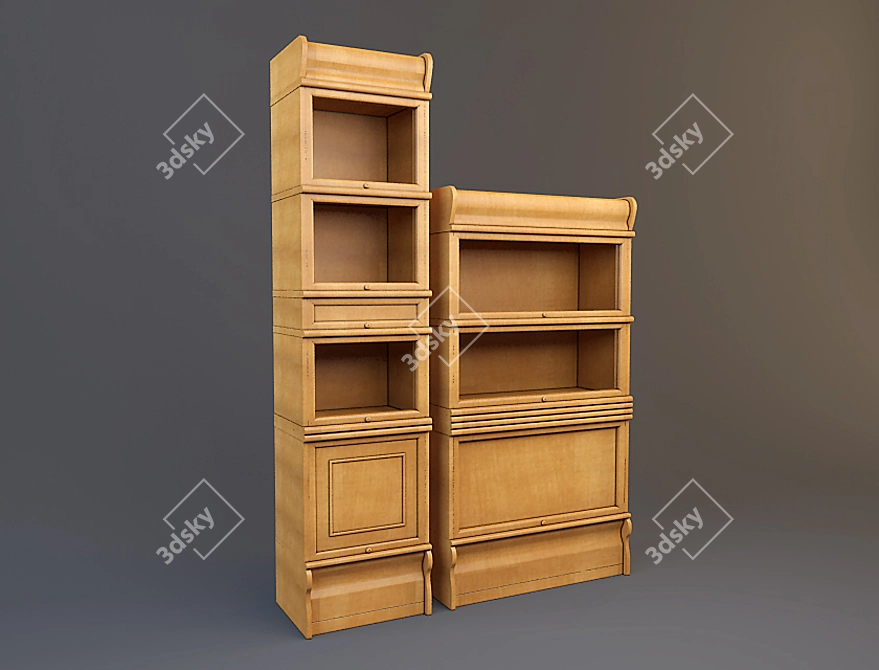 Elegant Storage Solution: Cabinets 3D model image 1