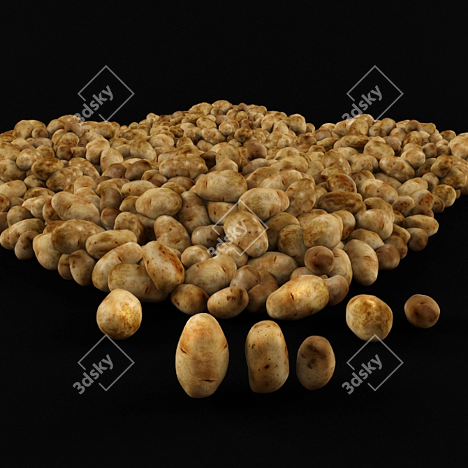 Golden Crunch Potato Crisp 3D model image 1