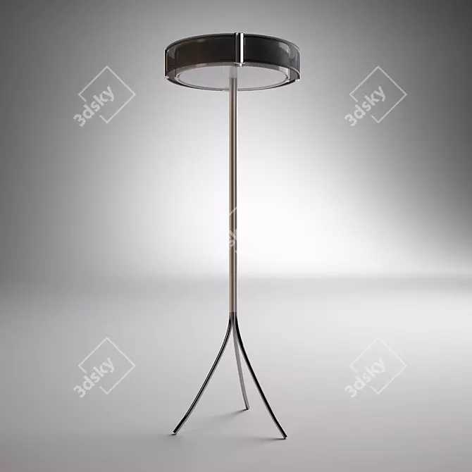 Modern Standing Floor Lamp 3D model image 1