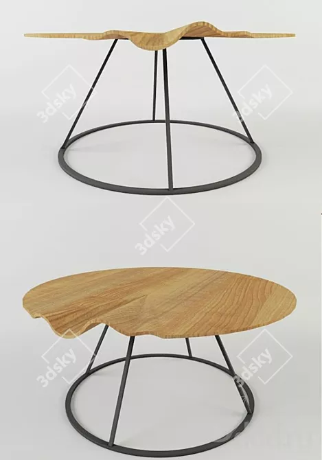 Modern Wooden Coffee Table 3D model image 1