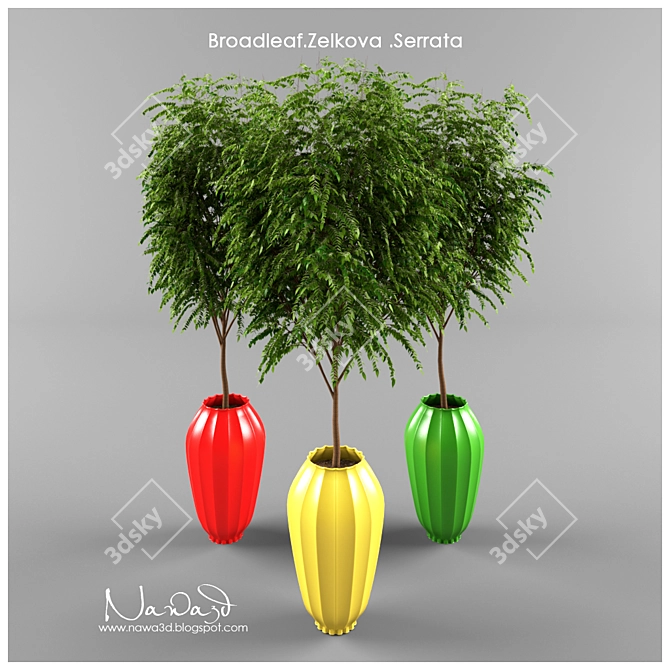 Green Vas: Broadleaf Beauty 3D model image 1