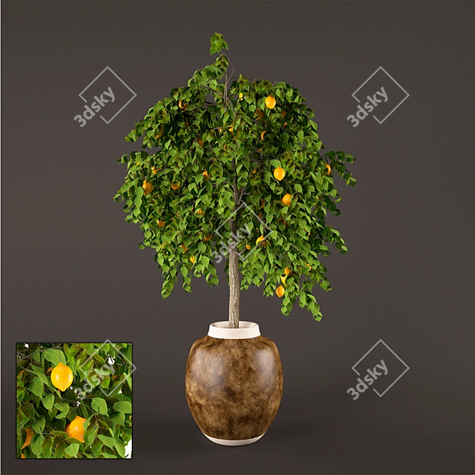 Refreshing Lemon Tree: Polys 502, Verts 305 3D model image 1