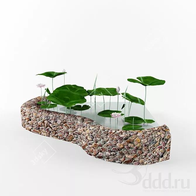 Serene Lotus Pond 3D model image 1