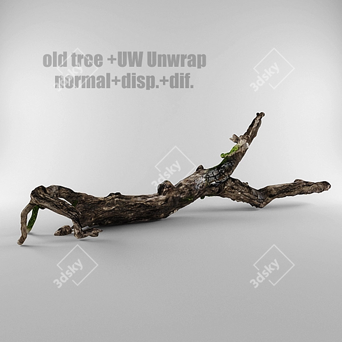 Ancient Oak 3D Texture 3D model image 1