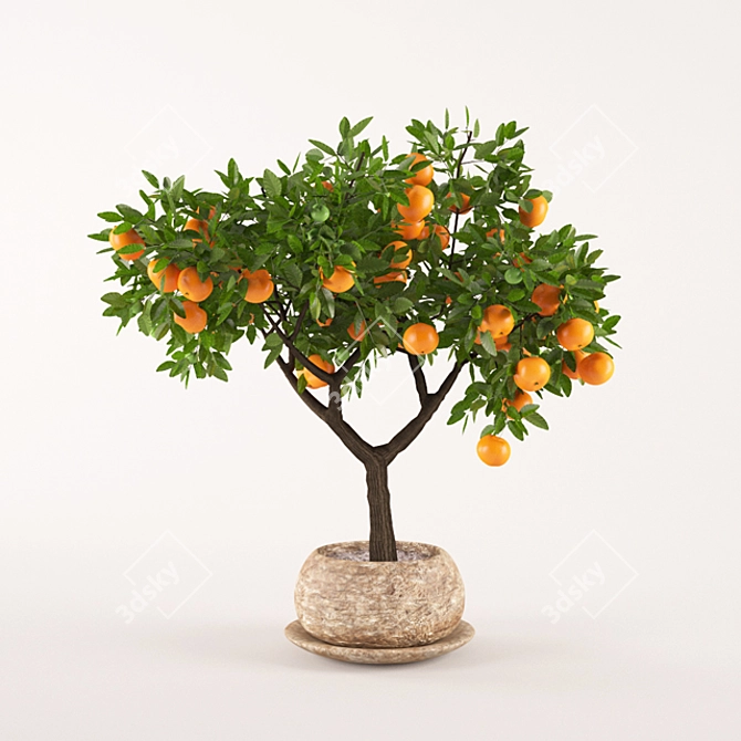 Fresh Orange Tree - Vibrant and Lifelike! 3D model image 1