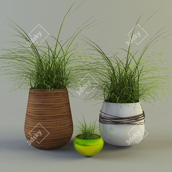 Grass-Filled Flowerpots: Interior Decor 3D model image 1