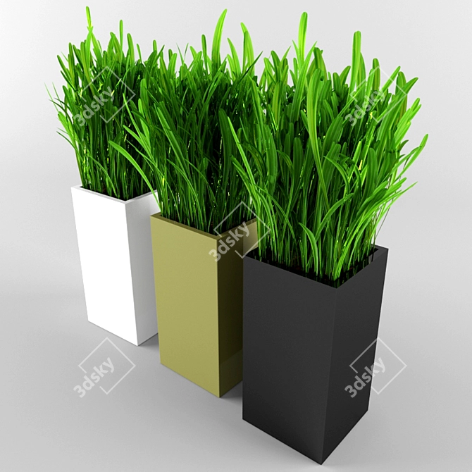 Lush Green Grass for Your Garden 3D model image 1