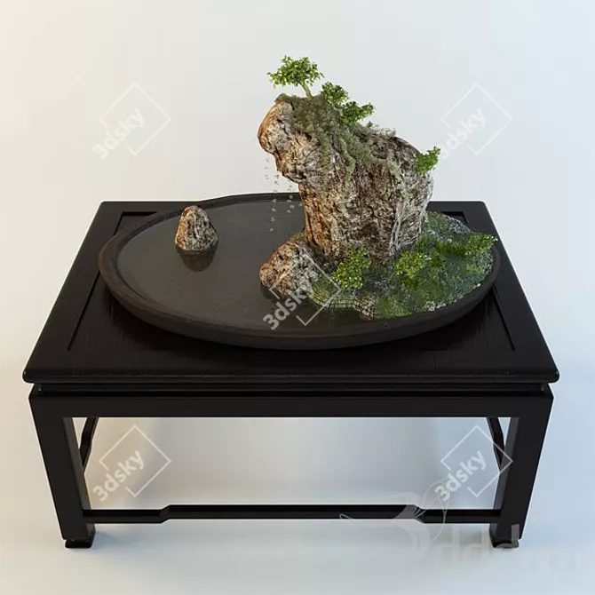 Compact Bonsai Tree 3D model image 1