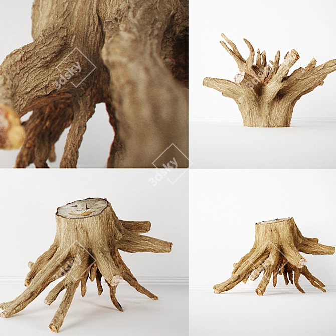 Detailed 8K Textured Stump 3D model image 1