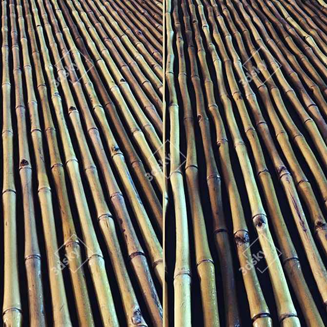 Eco-Friendly Bamboo Pole - 30mm x 5000mm 3D model image 1