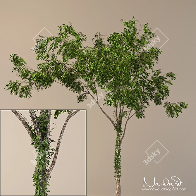 Ivy-Adorned Tree: A Perfect Blend of Elegance 3D model image 1