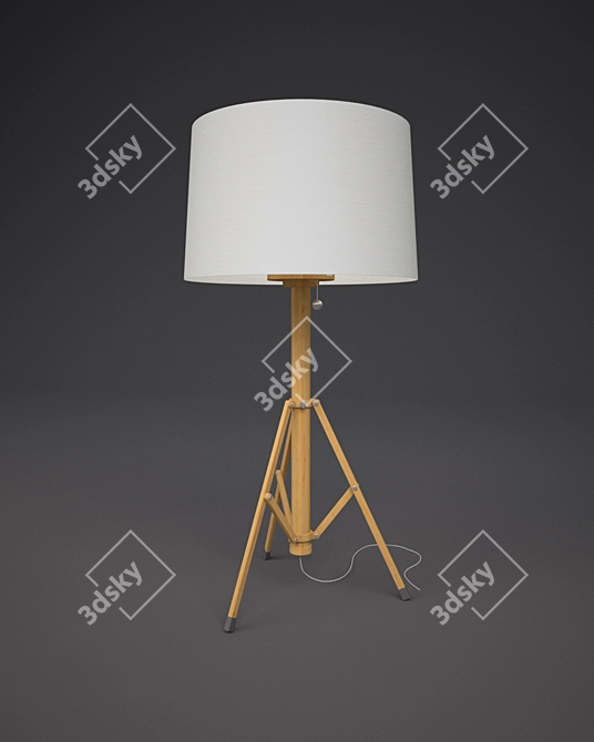 Mediterranean Style Tripod Lamp 3D model image 1