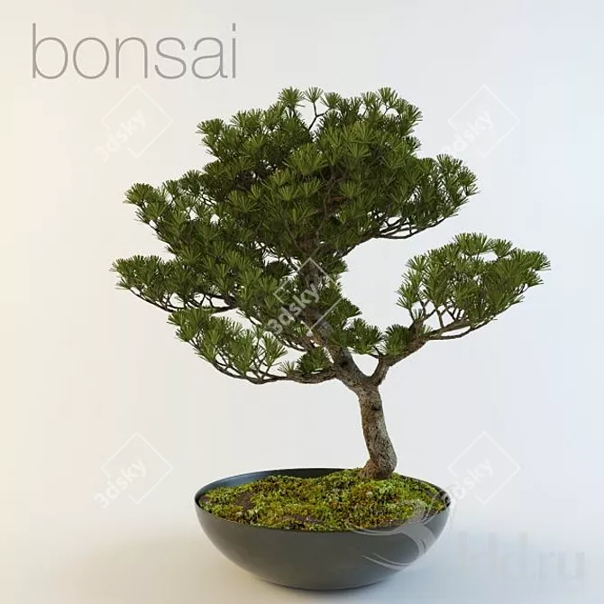 Zen Bonsai Tree - Serenity in Nature 3D model image 1