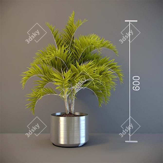 Tropical Vibes: Palma 3D model image 1