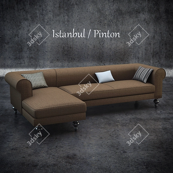 Vintage Pinton Istanbul Souvenir 3D model image 1