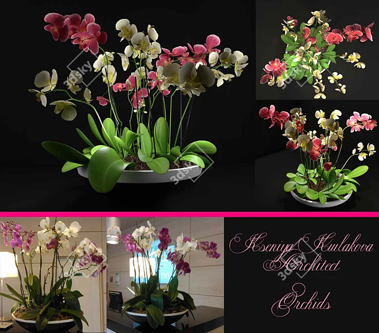 Orchid Bliss: Elegant Vase 3D model image 1