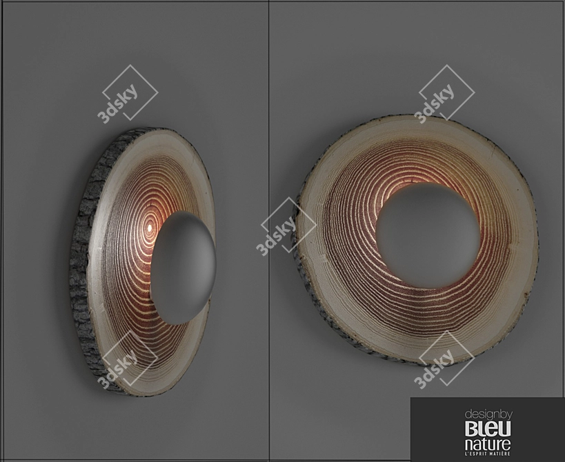 BigEyes Applique Wall Sconce 3D model image 1