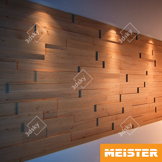 Meister 3D Panel Collection: Versatile, Stylish, Waterproof 3D model image 1