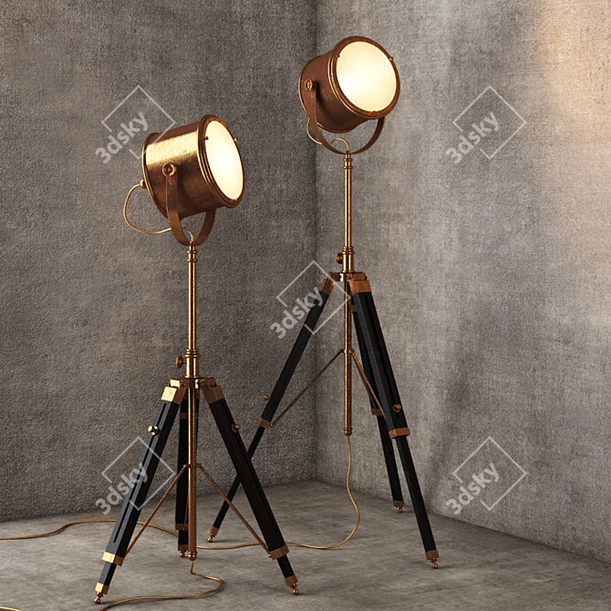 Elegant Brass Floor Lamp 3D model image 1