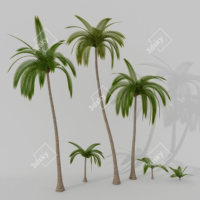 Multiscatter Palm Set 3D model image 1