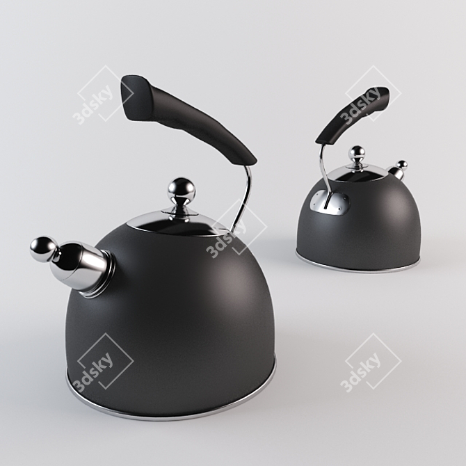 Rapid Boil Stovetop Kettle 3D model image 1