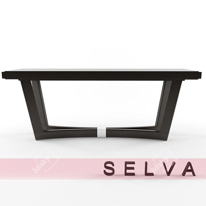 Modern Selva Console with Chrome Accents 3D model image 1