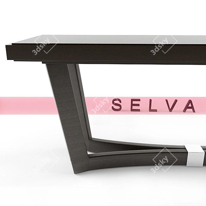 Modern Selva Console with Chrome Accents 3D model image 2