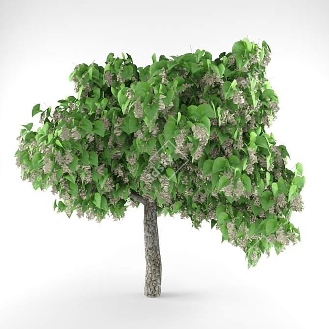 Exquisite Catalpa Tree: A Beautiful Addition to Your Garden 3D model image 1