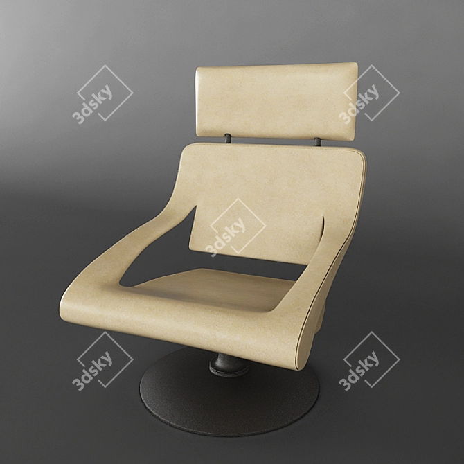 Elegant and Compact DS255 Chair 3D model image 1